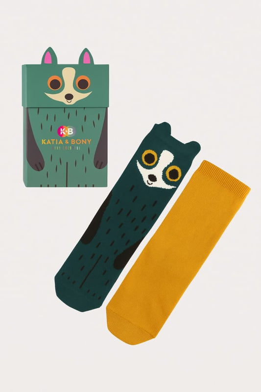 Boys’ Raccoon Boxed Socks 2-Pack